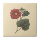 Pesquisar por ilustração azulejos Vermelho