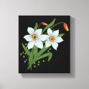Pesquisar por tulipa branca impressão de canvas Preto