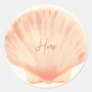 Pesquisar por praia rosa adesivos Casca