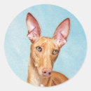 Pesquisar por faraó adesivos Cão