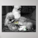 Pesquisar por cenas rurais pôsteres For her