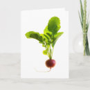 Pesquisar por vegetables cartoes Salad