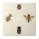 Pesquisar por bordado azulejos Estúdio de visão