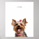 Pesquisar por yorkshire terrier dog pôsteres Cães