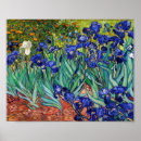 Pesquisar por vintage floral pósteres pôsteres Irises