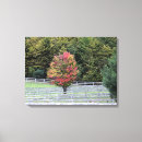 Pesquisar por cercado impressão de canvas Fotografia