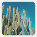 Pesquisar por cactus adesivos Arte