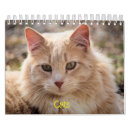 Pesquisar por gato calendarios Animais de companhia