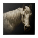 Pesquisar por do cavalo azulejos Preto