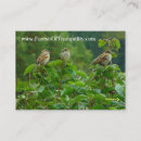 Pesquisar por passarinho cartao de visita Verde