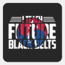 Pesquisar por artes marciais adesivos Taekwondo