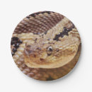 Pesquisar por cobra do chocalho Deserto