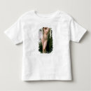 Pesquisar por quiver camisetas Arco