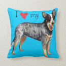 Pesquisar por heeler vermelho Heeler de queensland