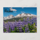 Pesquisar por alaska cartoes convites Viagem