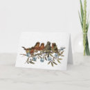Pesquisar por birds cartoes Feriado