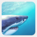 Pesquisar por africa do sul adesivos Vida selvagem