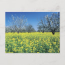 Pesquisar por amarelo mostarda cartoes postais Azul