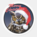 Pesquisar por coruja brilhante adesivos Natal