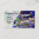 Pesquisar por aquário cartao de visita Vida marinha