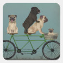 Pesquisar por pug engraçado adesivos Cachorros