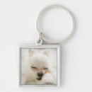 Pesquisar por amor chihuahua chaveiros Animal