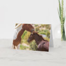 Pesquisar por égua e potro cartoes Dia das mães