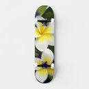 Pesquisar por frangipani skates Tropical