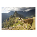Pesquisar por inca pôsteres Montanha