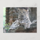 Pesquisar por ramos folha cartoes postais Para eles