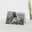 Pesquisar por do pastor aniversario cartoes German shepherd