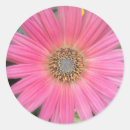 Pesquisar por selo cor de rosa da flor Envelope