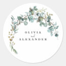 Pesquisar por eucalipto adesivos Verde