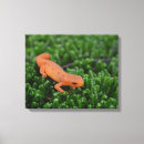 Pesquisar por manchado impressão de canvas Animal