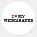 Pesquisar por weimaraner adesivos Amante