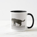 Pesquisar por peixe gato canecas Animal