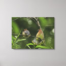 Pesquisar por cedro impressão de canvas Vida selvagem