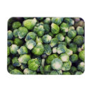 Pesquisar por nutrição imas Fotografia