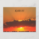 Pesquisar por raio x cartoes postais Colorido