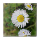 Pesquisar por grama azulejos Jardim