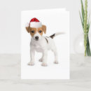 Pesquisar por jack russell terrier dog cartoes postais Dogs