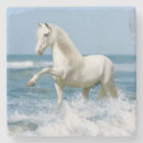 Pesquisar por cavalo branco porta copos Garanhão