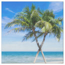 Pesquisar por florida artesanato material Praia