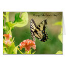 Pesquisar por da borboleta do swallowtail Animal