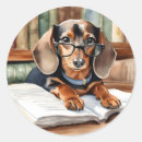 Pesquisar por dachshunds adesivos Cão