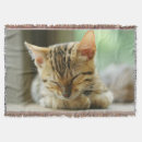 Pesquisar por gatinhos mantas Gato