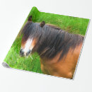 Pesquisar por pôneis papel de presente Pônei de galês