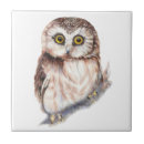 Pesquisar por coruja bonito azulejos Animais selvagens