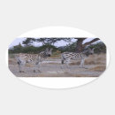 Pesquisar por foto oval adesivos Animais selvagens