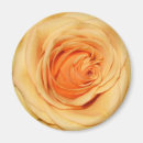 Pesquisar por aumentou circularmente imas Rosas